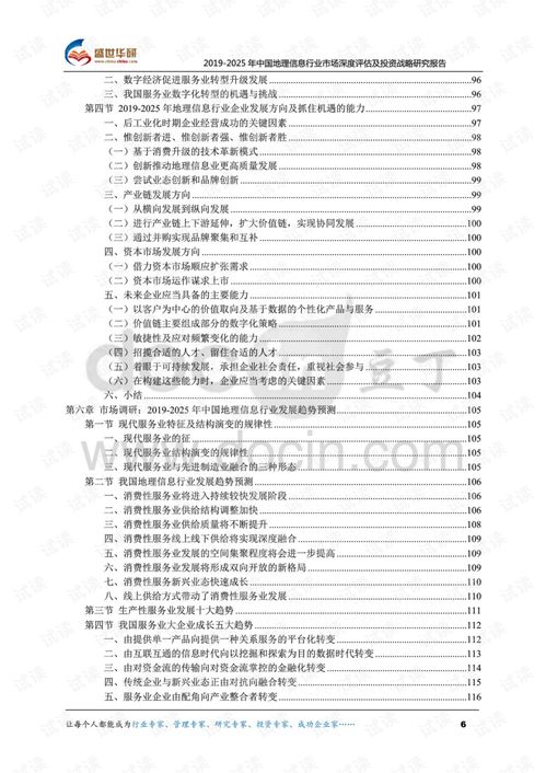 2019-2025年中國地理信息行業市場深度評估與投資戰略研究報告專項審計分析
